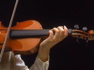 muzician