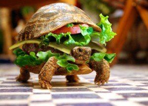 slow food