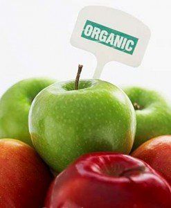 mancarea-organica mancare organica