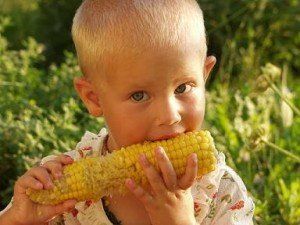 porumb-dulce porumb dulce