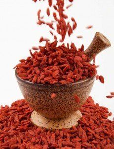 fructul goji fructul goji