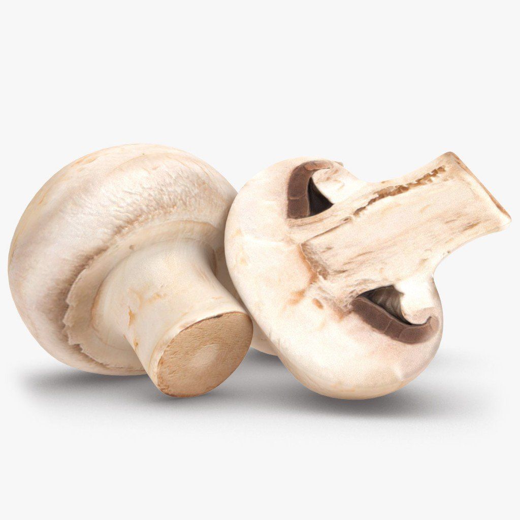 OysterMushroom_Rr_00.jpg8571d579-edf5-4db9-b95e-8ec1a55535faOriginal (2)