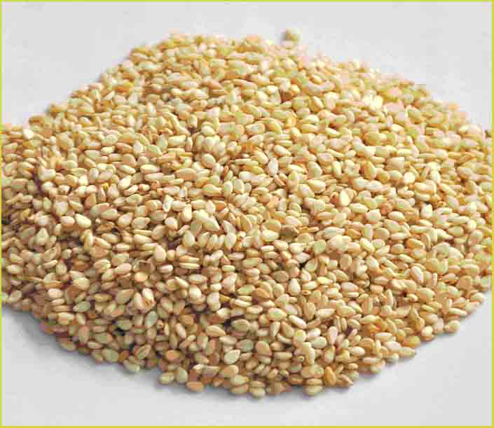 alimente bogate in calciu-seminte de susan