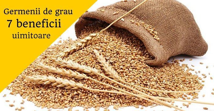 germenbii de grau beneficii