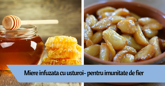 miere infuzata cu usturoi pentru intarirea imunitatii