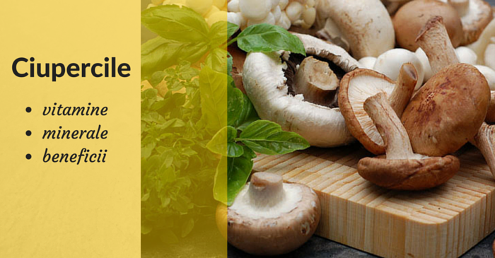 vitamine si minerale ciuperci
