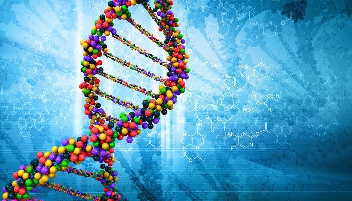 gandurile pot modifica genele epigenetica