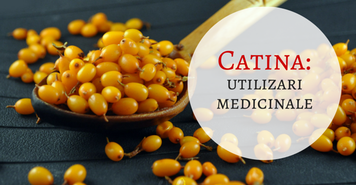 Catina: beneficii uimitoare pentru sanatate