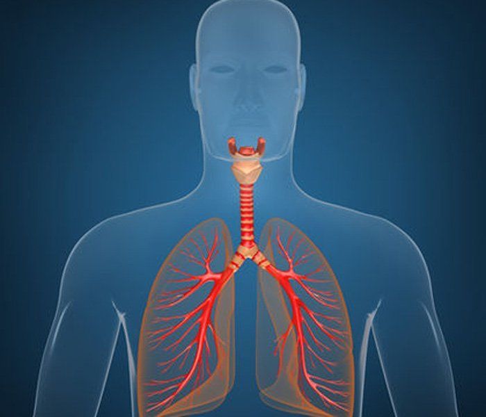 beneficiile consumului de peste functionarea sistemului respirator