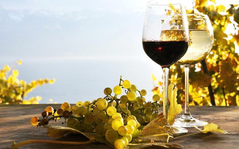 alimente care te imbatranesc