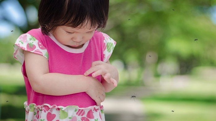 intepaturile-de-tantari. 6jpg