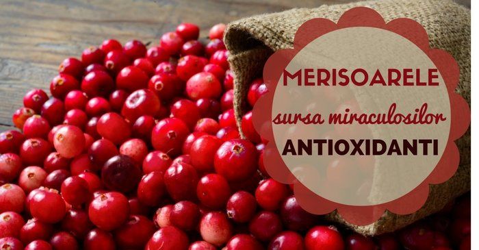 Merisoarele, sursa miraculosilor antioxidanti – 10 beneficii surprinzatoare