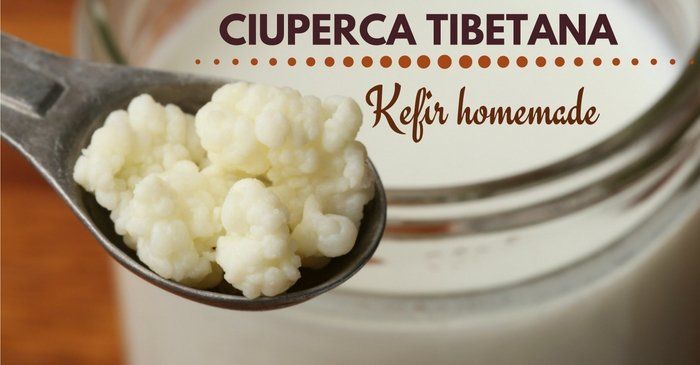 Ciuperca tibetana – Cum sa consumi kefir sanatos, homemade