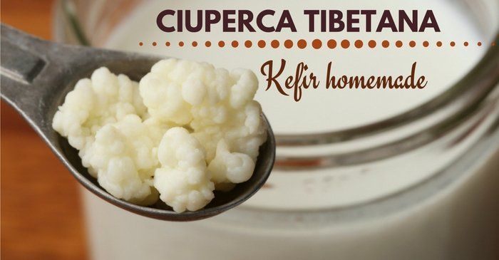 ciuperca tibetană de lapte pentru ciuperca unghiilor