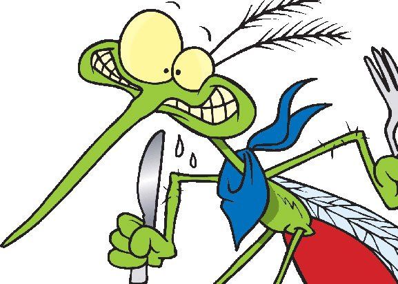 Ghid de supraviețuire anti-țânțari: 15 metode naturale de a te proteja de tantari 1