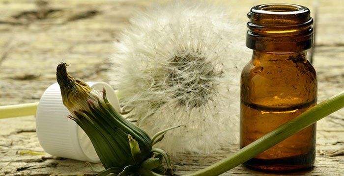 tincturile din plante