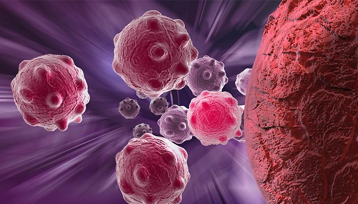 Merisoarele: super-fructele antioxidante care combat inflamatiile 4