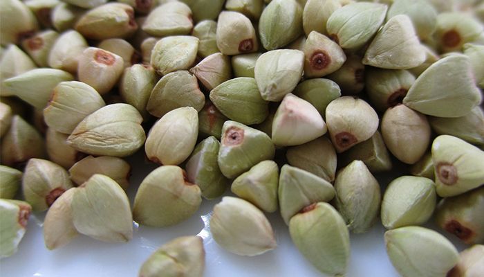 Alimentatia pe baza de hrisca. Beneficii pentru sanatate 1