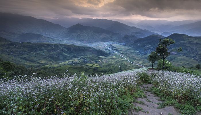 Alimentatia pe baza de hrisca. Beneficii pentru sanatate 7