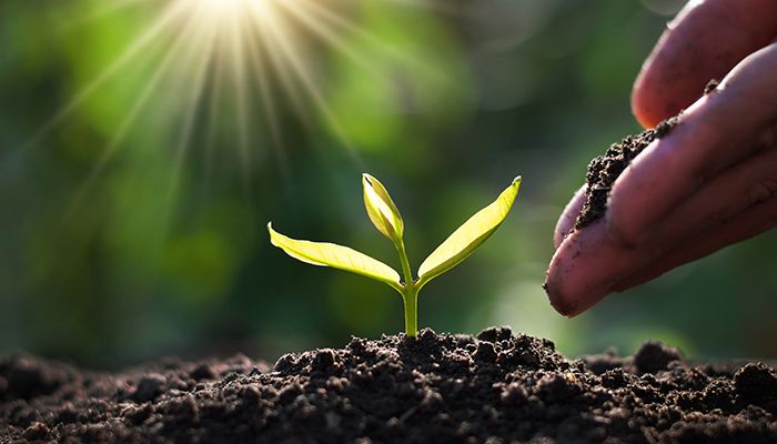 Ghid de compostare la domiciliu. Nimic nu e atat de greu pe cat pare! 3