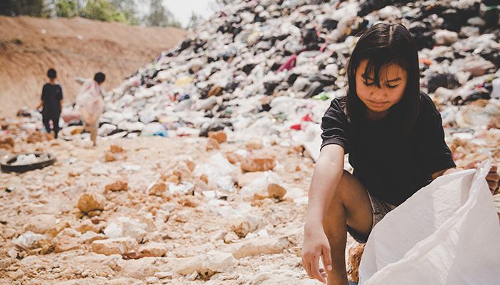 Ghid de compostare la domiciliu. Nimic nu e atat de greu pe cat pare! 1