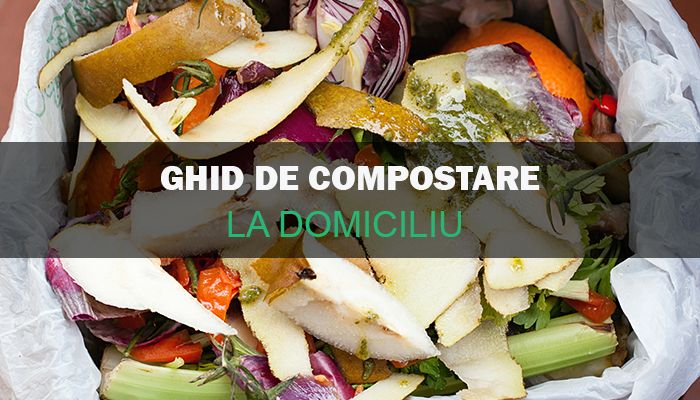 Ghid de compostare la domiciliu. Nimic nu e atat de greu pe cat pare! 2