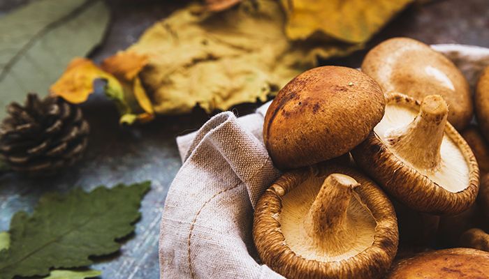 Cum au devenit banalele ciuperci vedetele nutritiei? 18