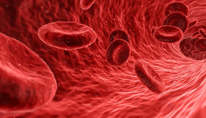 Cum iti poti stimula sistemul imunitar? 3