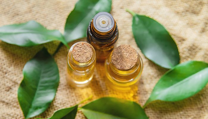 6 remedii naturale pentru menstruatia neregulata 5