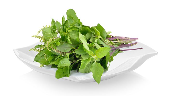 3 remedii naturale in lupta impotriva stresului 1