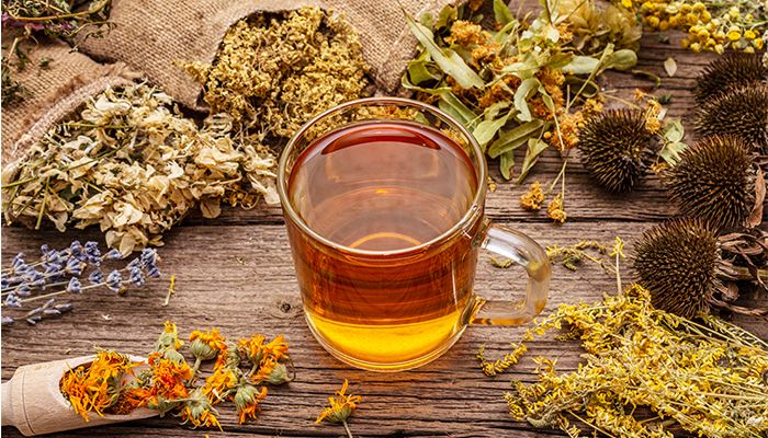 Coada soricelului – nu doar o planta ce trateaza rani 3