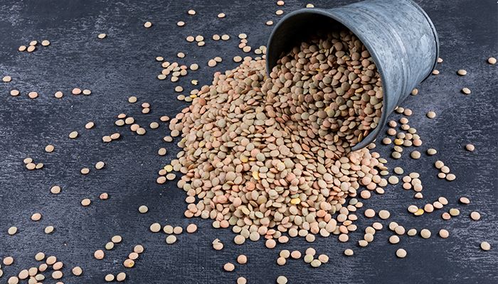 Lintea. Nutritie, beneficii si retete sanatoase 1