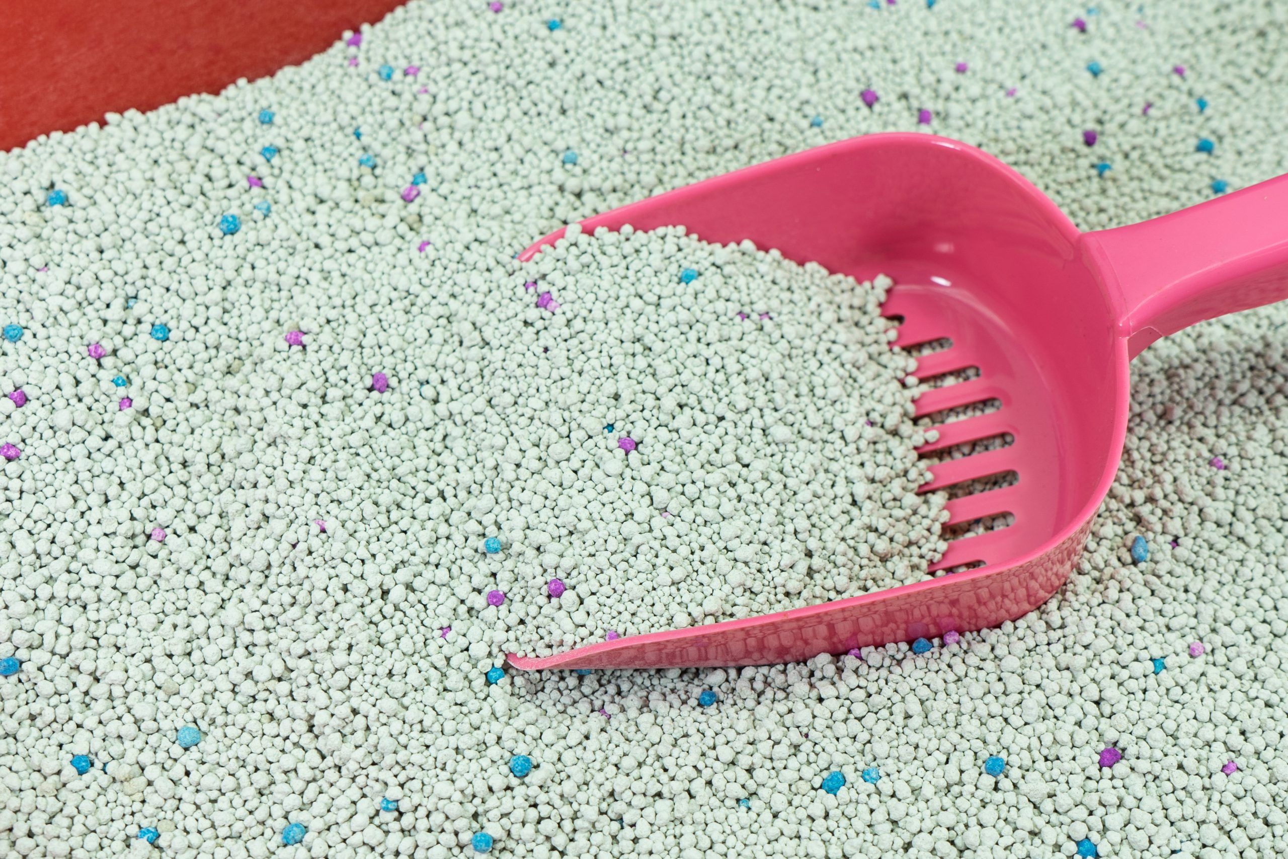 7 trucuri pentru a tine daunatorii la distanta de casa in vara aceasta 2