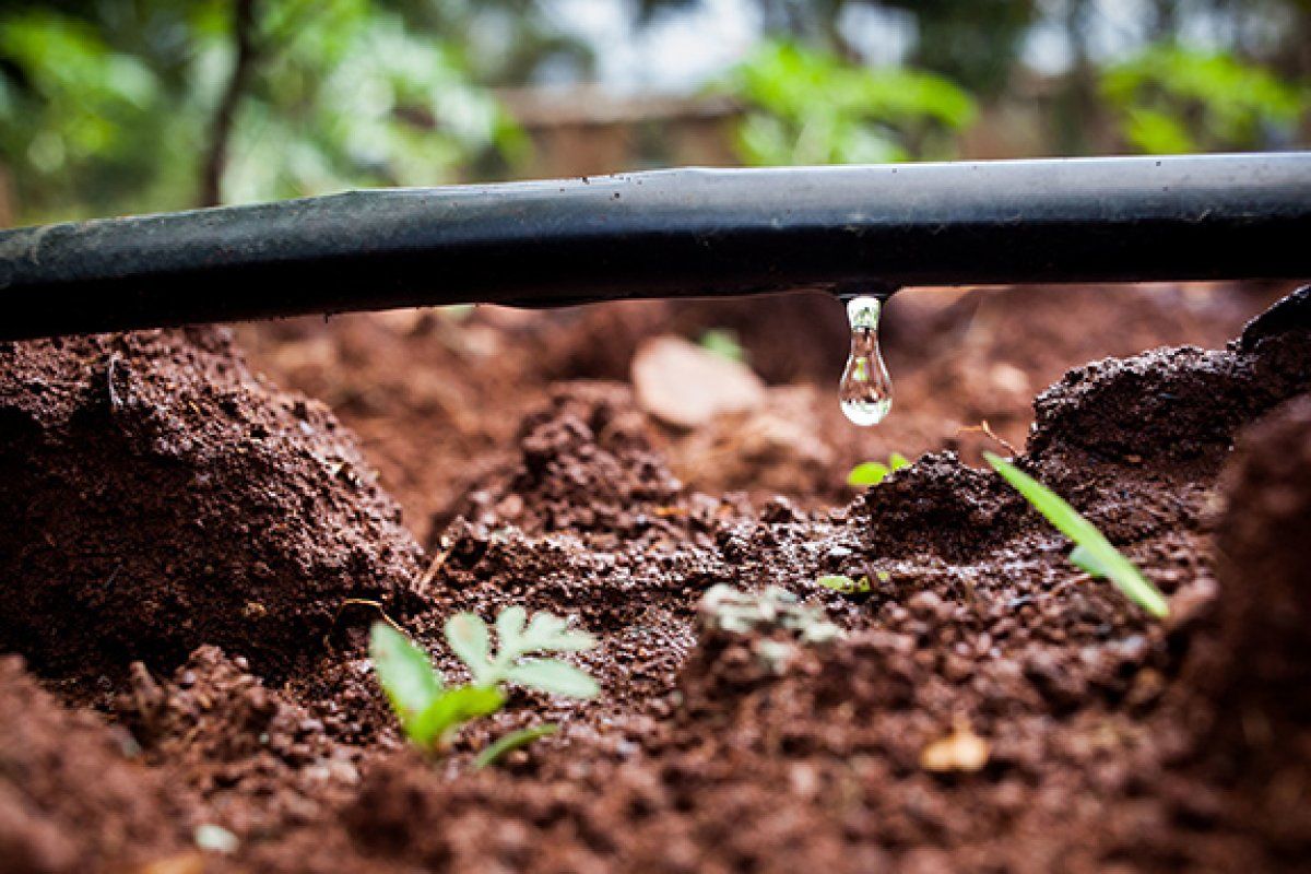 La ce se folosesc tuburile de picurare si care sunt avantajele lor?