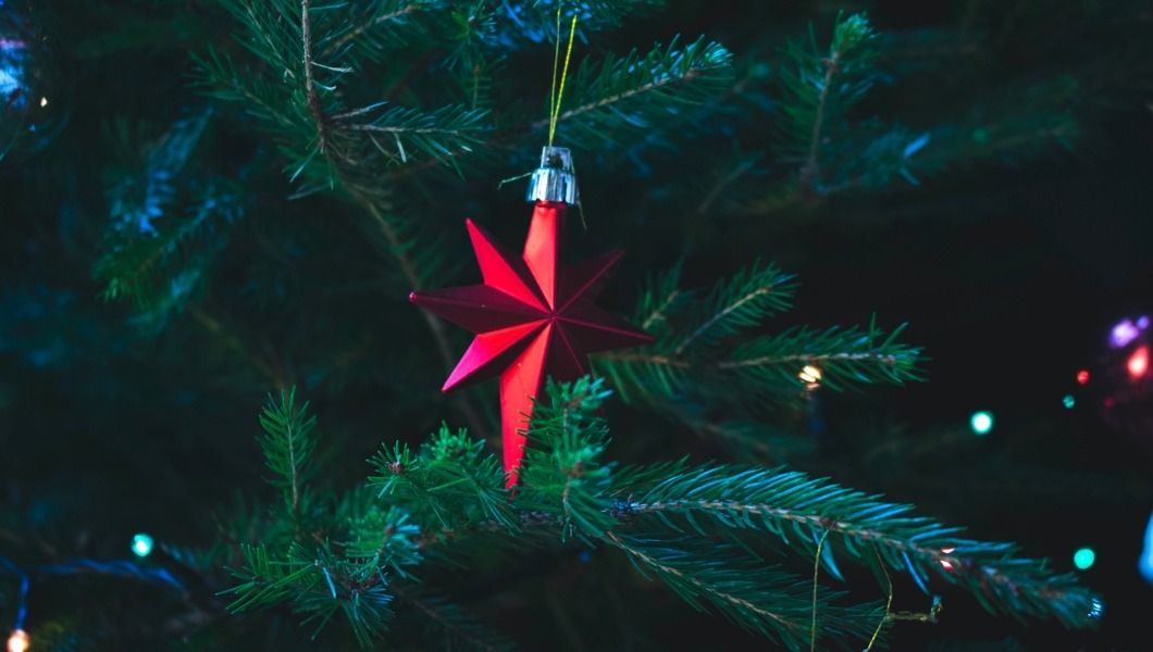 Bradul de Craciun si beneficiile pe care le ofera