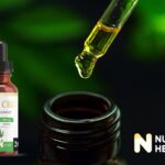 Uleiul CBD Nutrific acum în farmacii și magazine naturiste 1