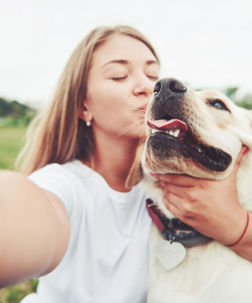 Cum sa ai grija de cainele tau?