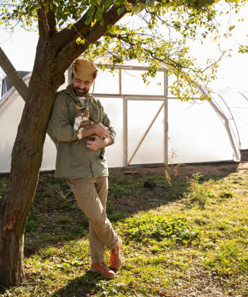 Folia termica profesionala pentru solarii – cum functioneaza si cum poate ajuta agricultorii?