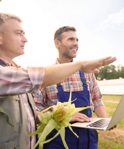 Importanta agriculturii in Prezent