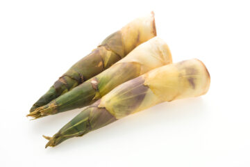 Mugurii de bambus – o sursa uriasa de nutritie