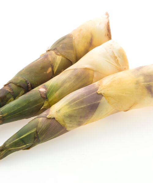 Mugurii de bambus – o sursa uriasa de nutritie