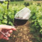 8 beneficii ale consumului de vin roșu dovedite științific