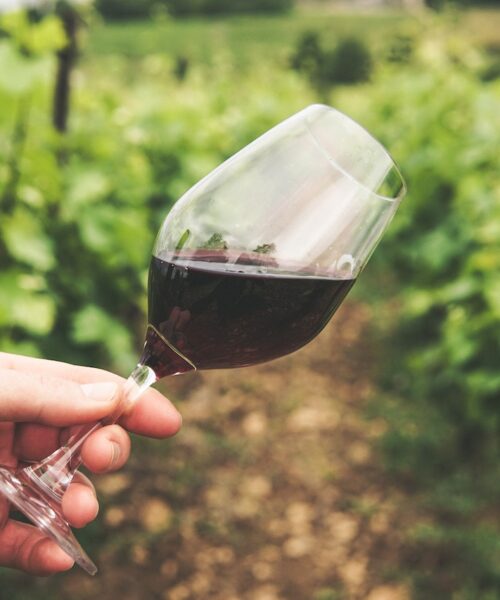 8 beneficii ale consumului de vin roșu dovedite științific