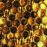 Mierea de manuka în cosmetice - de ce este aceasta ingredientul minune?