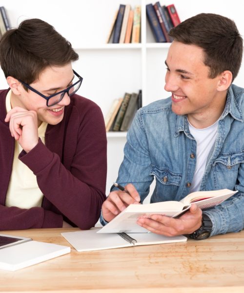 Ce este traducerea inversă și când este utilizată?