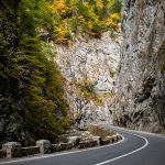 verificare rovinieta online