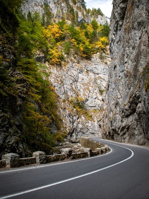 Cât de simplu se poate face o verificare rovinieta online?