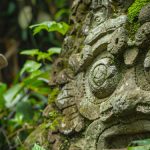 Homepage – Doar Natural