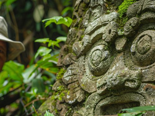 Cum se distinge profilul olfactiv al variantei din Bulnesia sarmientoi (Bolivia) față de alte origini?