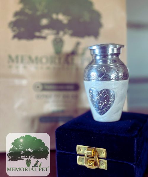 Crematoriu câine în România – Ce opțiuni ai când sufletul casei pleacă?